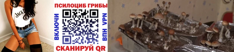 Галлюциногенные грибы Magic Shrooms  Купить закладки  Осинники 