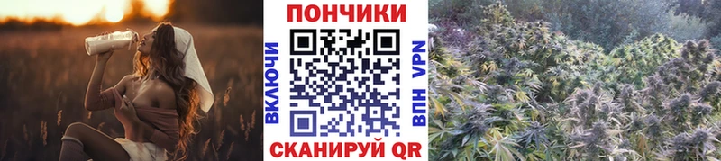 Купить где  Осинники  Каннабис Ganja 